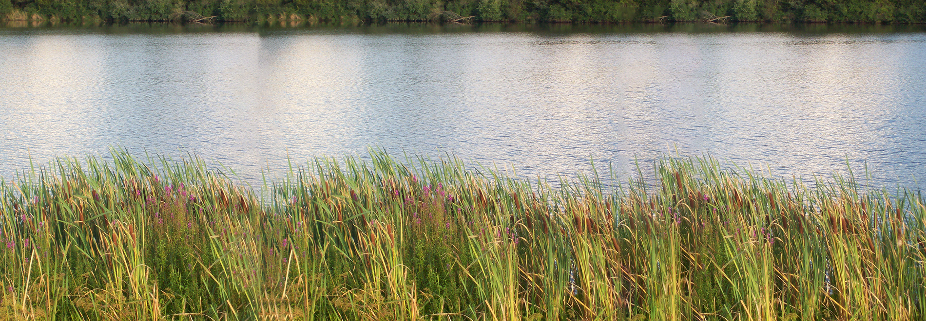 Banner Slide 3
